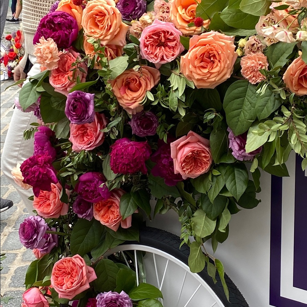 Meet your Posher, Wei